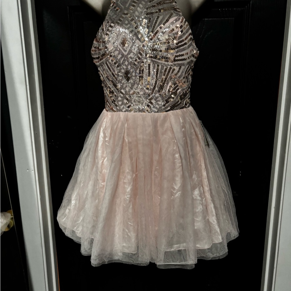 B. Darling Pink and Silver Formal Dress Sequined